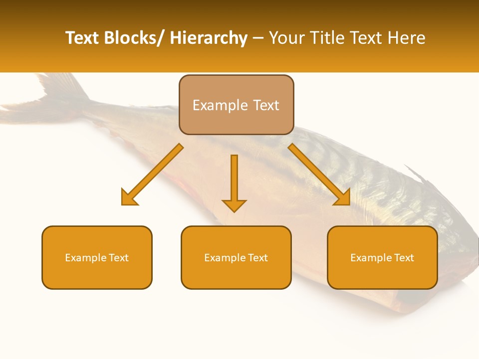 A Fish Is Shown On A White Background PowerPoint Template