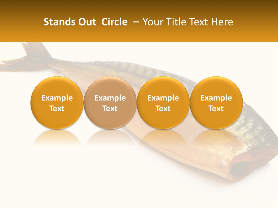 A Fish Is Shown On A White Background PowerPoint Template