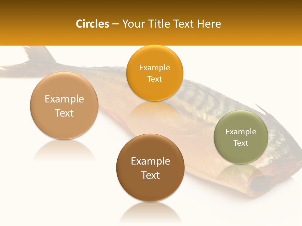 A Fish Is Shown On A White Background PowerPoint Template