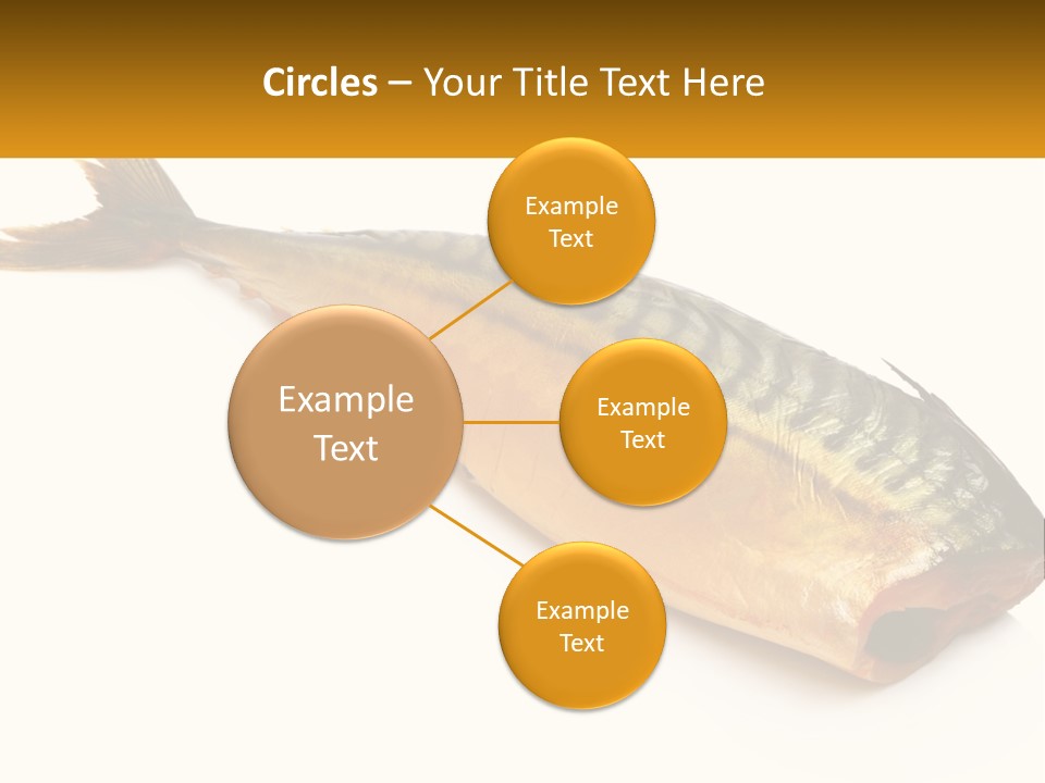 A Fish Is Shown On A White Background PowerPoint Template