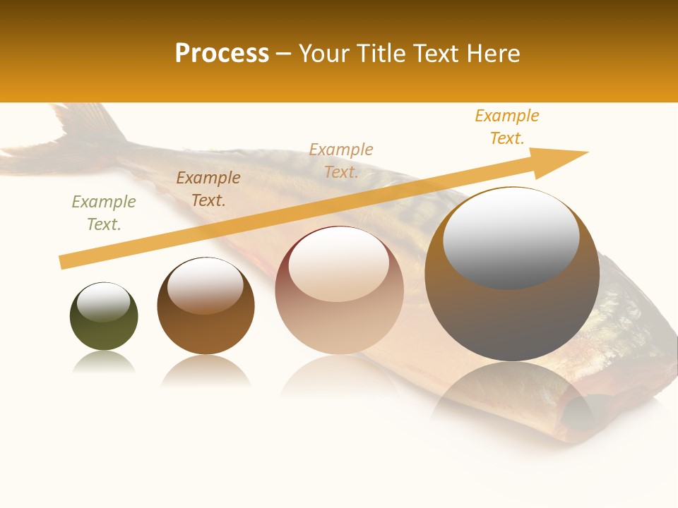 A Fish Is Shown On A White Background PowerPoint Template