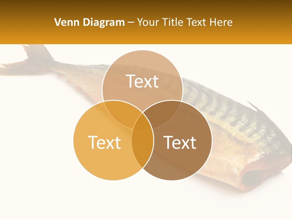 A Fish Is Shown On A White Background PowerPoint Template