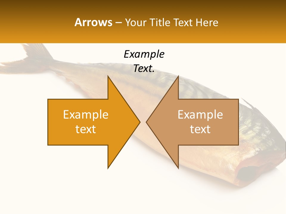 A Fish Is Shown On A White Background PowerPoint Template