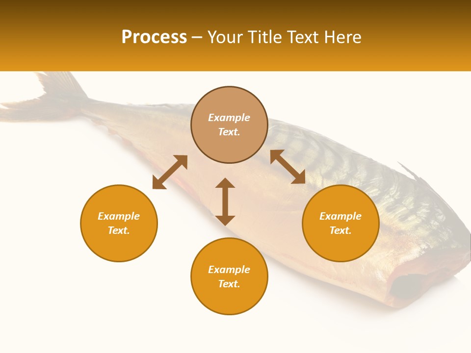A Fish Is Shown On A White Background PowerPoint Template