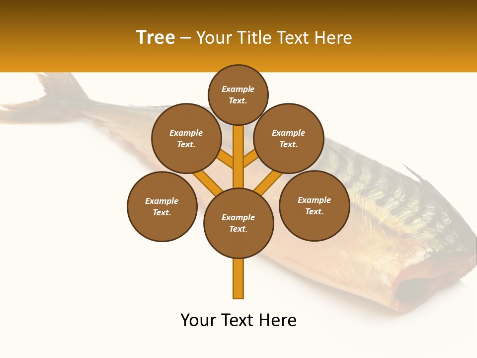 A Fish Is Shown On A White Background PowerPoint Template