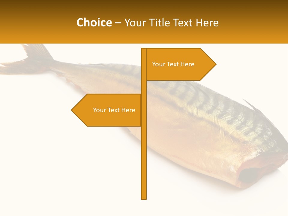 A Fish Is Shown On A White Background PowerPoint Template