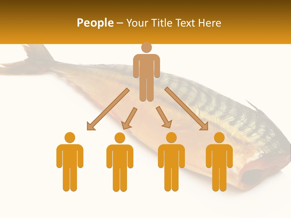 A Fish Is Shown On A White Background PowerPoint Template
