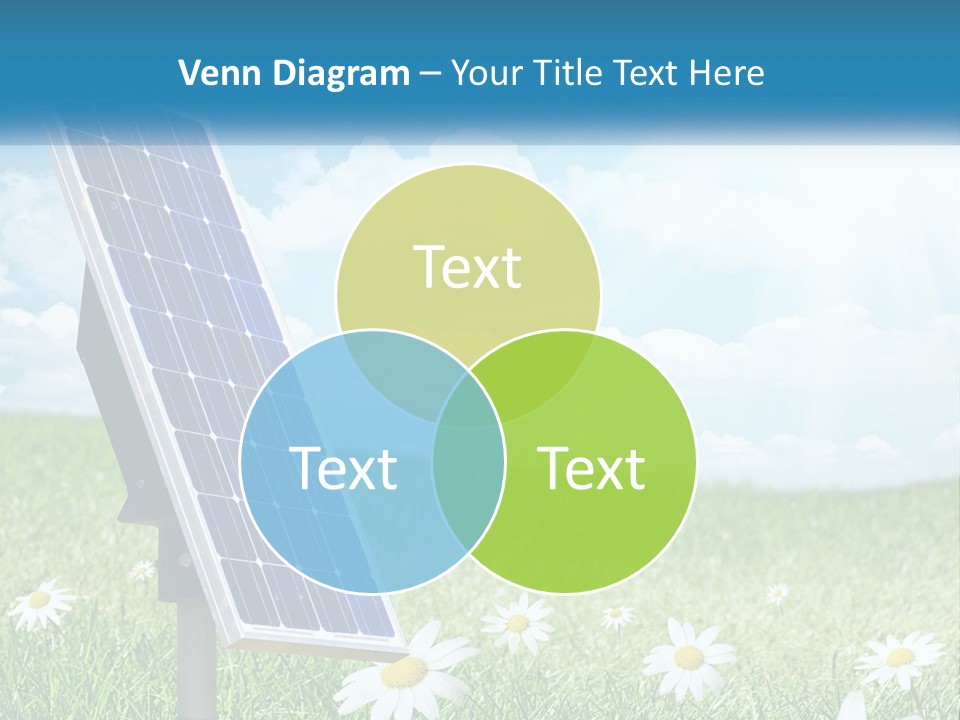 A Solar Panel In The Grass With Daisies In The Foreground PowerPoint Template