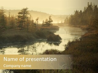 A River In The Middle Of A Forest PowerPoint Template