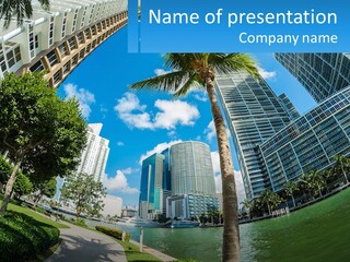 A Palm Tree Is In The Foreground Of A City PowerPoint Template
