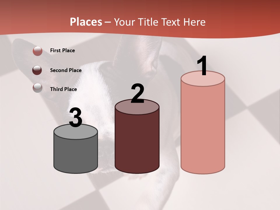 A Small Black And White Dog Standing On A Checkered Floor PowerPoint Template