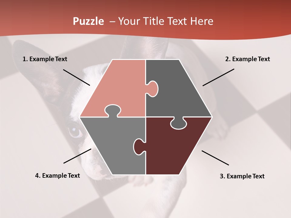 A Small Black And White Dog Standing On A Checkered Floor PowerPoint Template