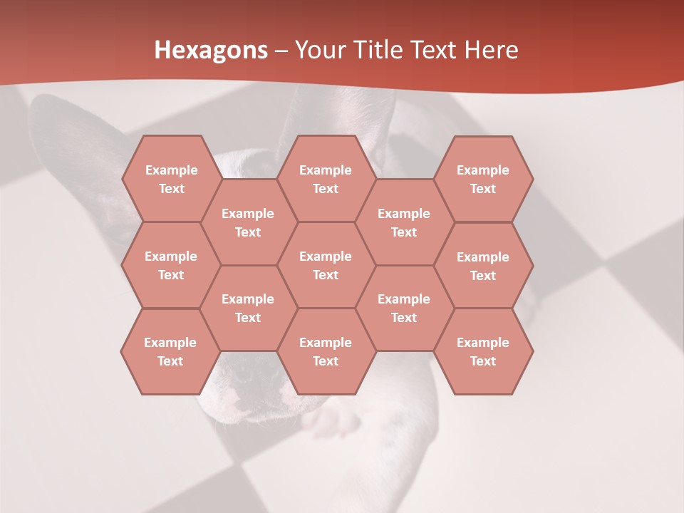 A Small Black And White Dog Standing On A Checkered Floor PowerPoint Template