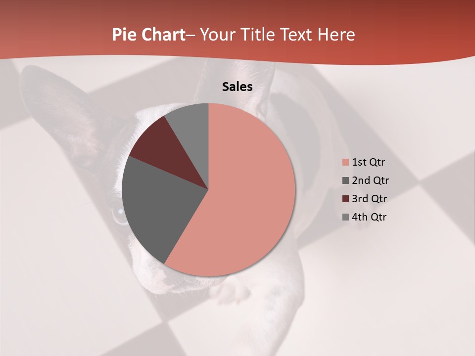 A Small Black And White Dog Standing On A Checkered Floor PowerPoint Template