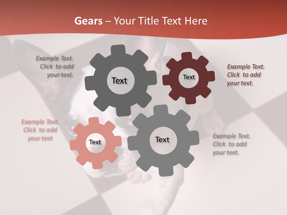 A Small Black And White Dog Standing On A Checkered Floor PowerPoint Template