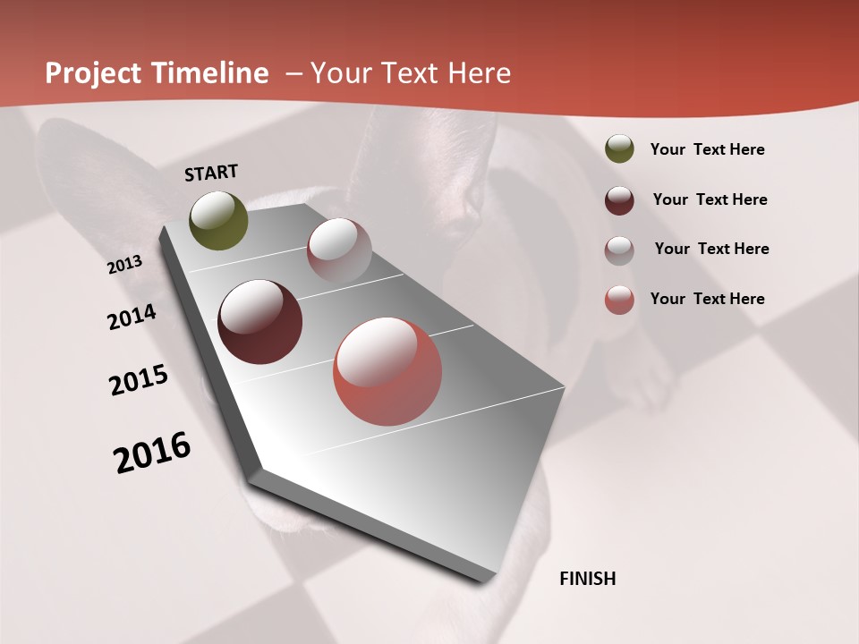 A Small Black And White Dog Standing On A Checkered Floor PowerPoint Template