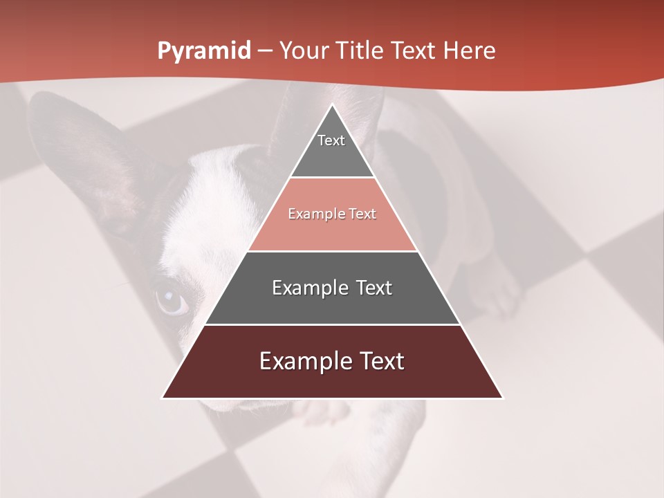 A Small Black And White Dog Standing On A Checkered Floor PowerPoint Template