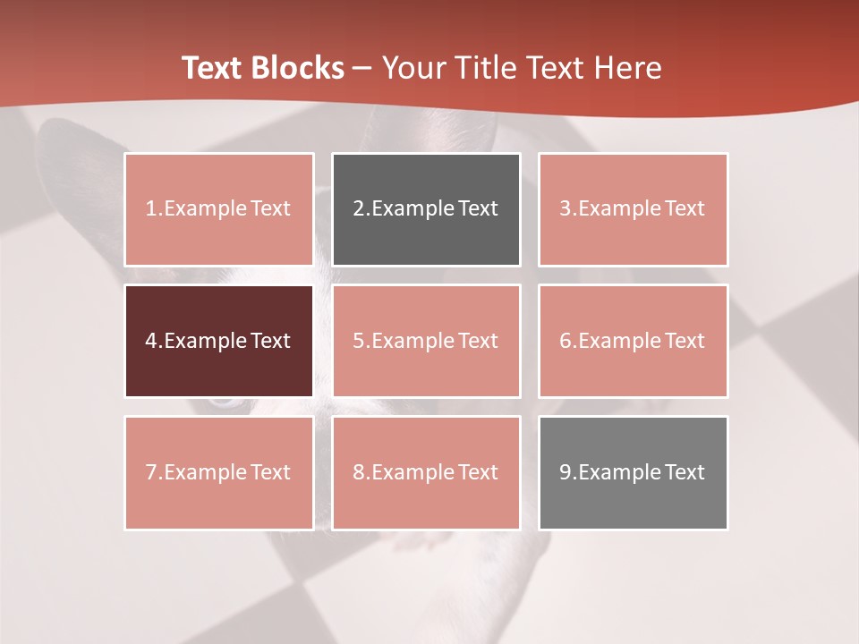 A Small Black And White Dog Standing On A Checkered Floor PowerPoint Template