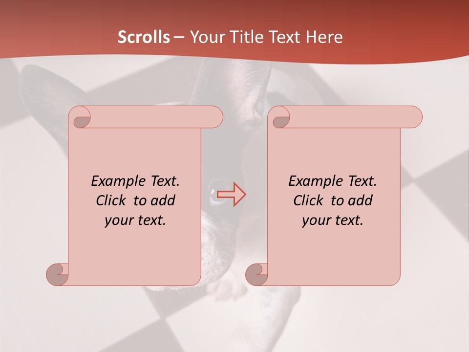 A Small Black And White Dog Standing On A Checkered Floor PowerPoint Template