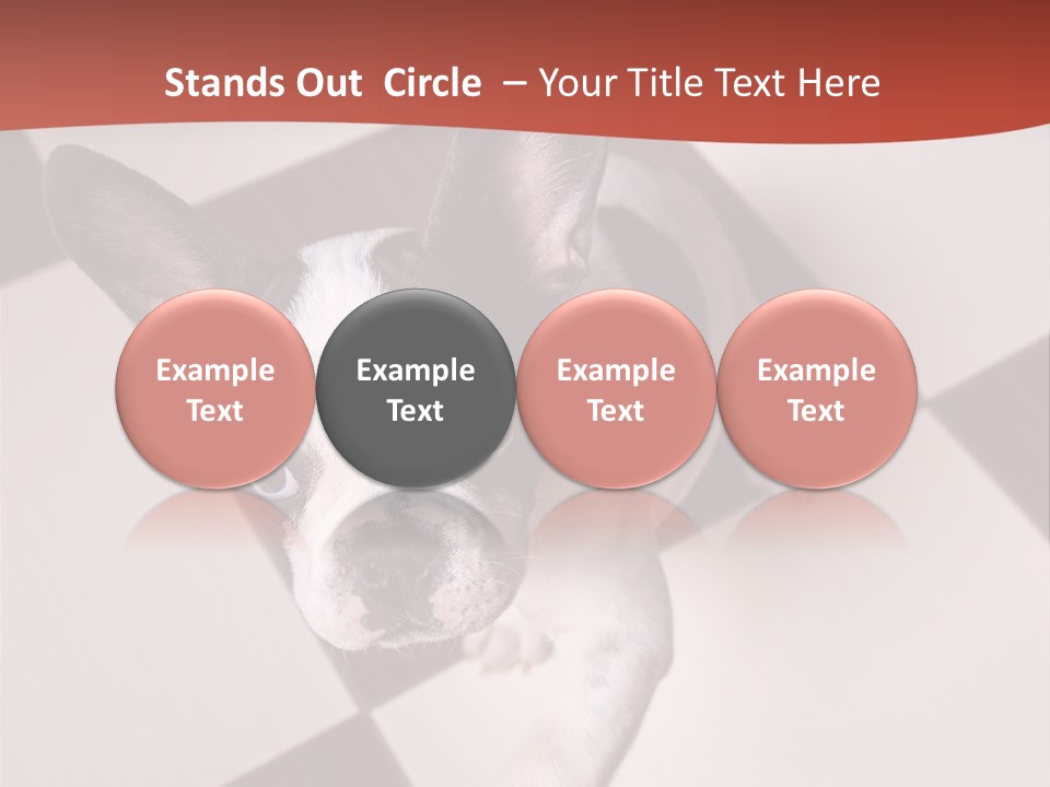 A Small Black And White Dog Standing On A Checkered Floor PowerPoint Template