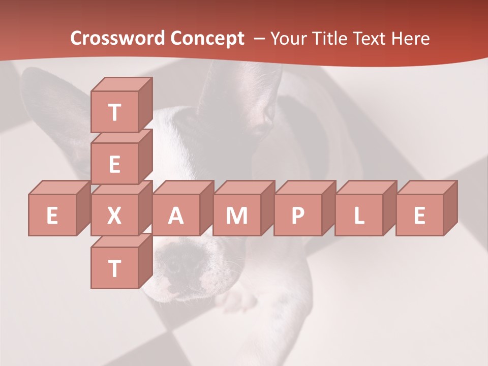 A Small Black And White Dog Standing On A Checkered Floor PowerPoint Template