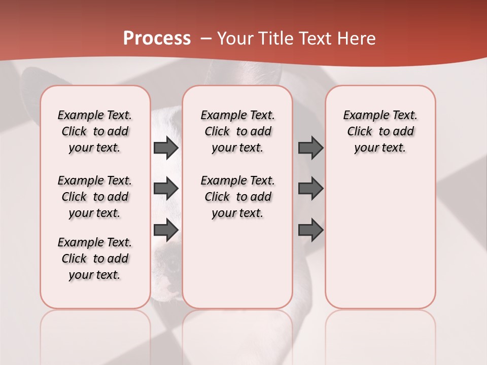 A Small Black And White Dog Standing On A Checkered Floor PowerPoint Template
