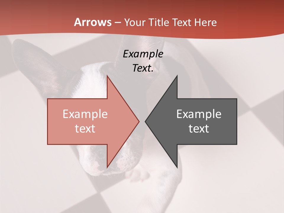 A Small Black And White Dog Standing On A Checkered Floor PowerPoint Template