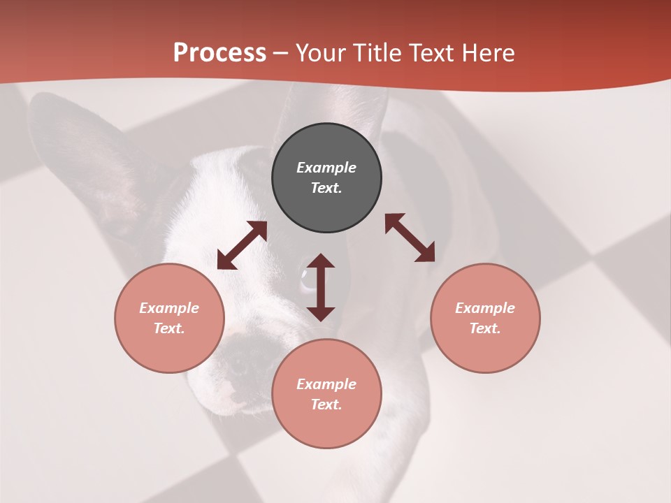 A Small Black And White Dog Standing On A Checkered Floor PowerPoint Template