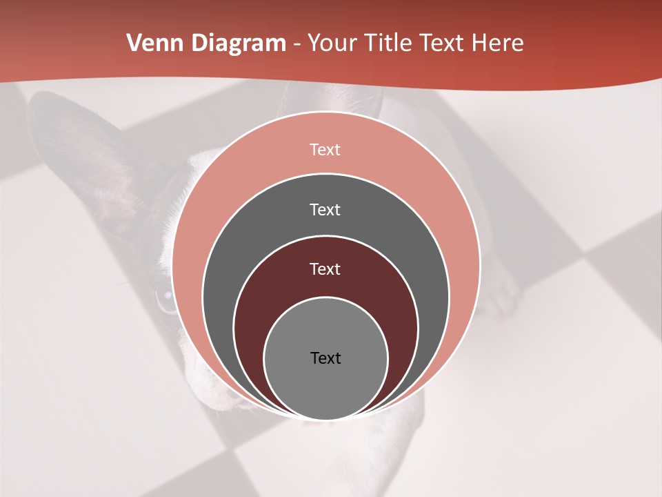 A Small Black And White Dog Standing On A Checkered Floor PowerPoint Template