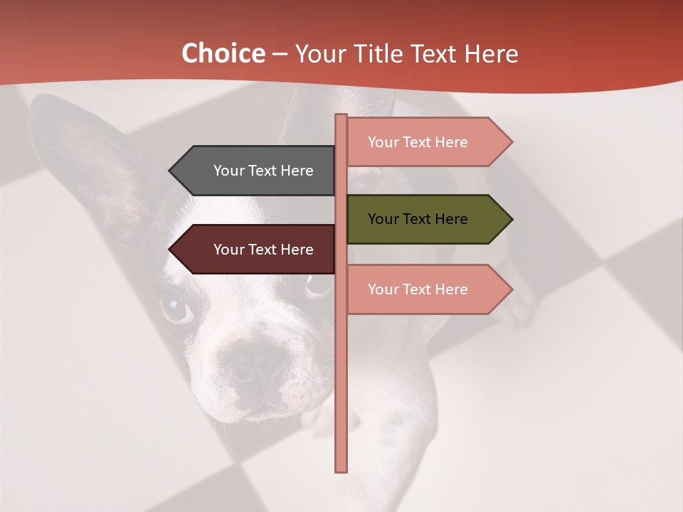 A Small Black And White Dog Standing On A Checkered Floor PowerPoint Template