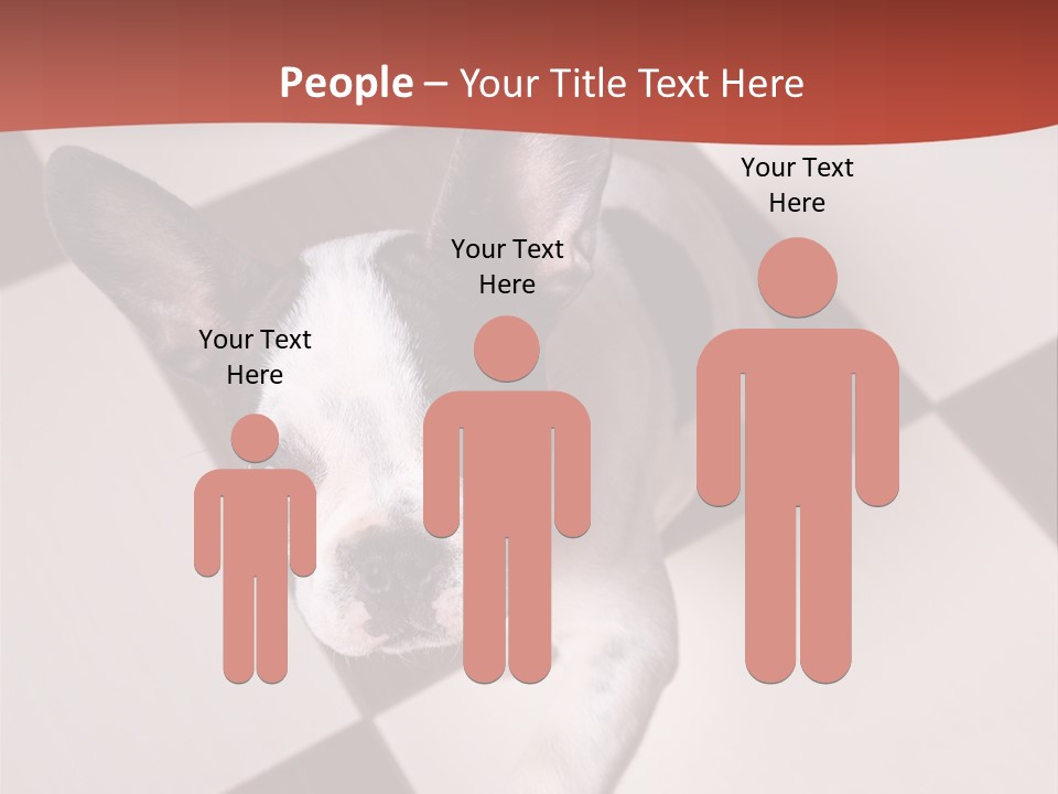 A Small Black And White Dog Standing On A Checkered Floor PowerPoint Template