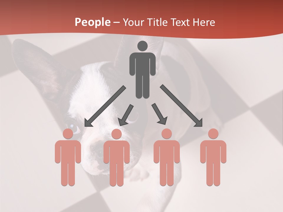 A Small Black And White Dog Standing On A Checkered Floor PowerPoint Template