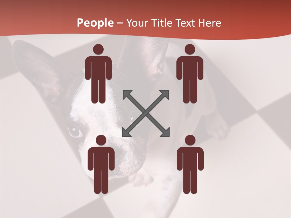 A Small Black And White Dog Standing On A Checkered Floor PowerPoint Template