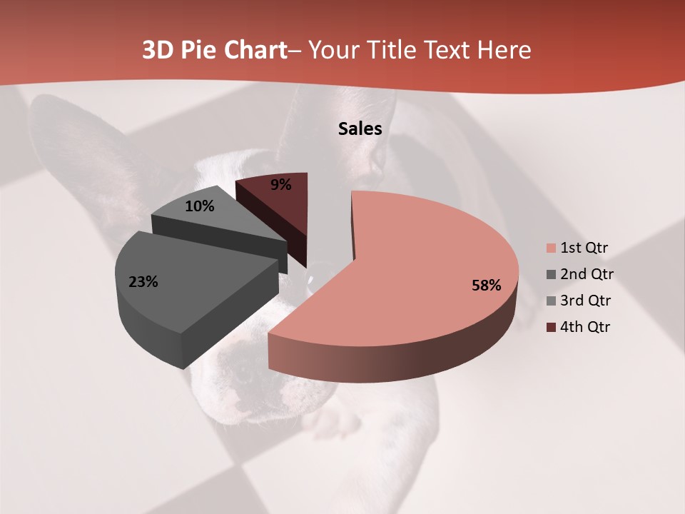 A Small Black And White Dog Standing On A Checkered Floor PowerPoint Template