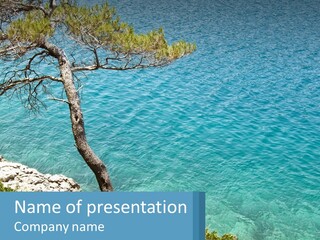 A Body Of Water With A Tree In The Foreground PowerPoint Template