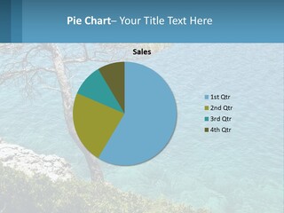 A Body Of Water With A Tree In The Foreground PowerPoint Template