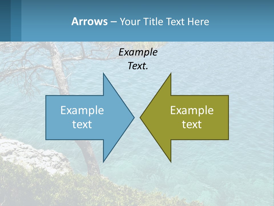 A Body Of Water With A Tree In The Foreground PowerPoint Template