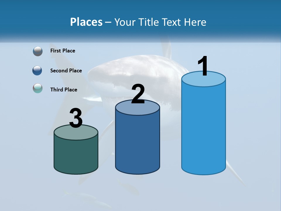 A Great White Shark Swimming In The Ocean PowerPoint Template