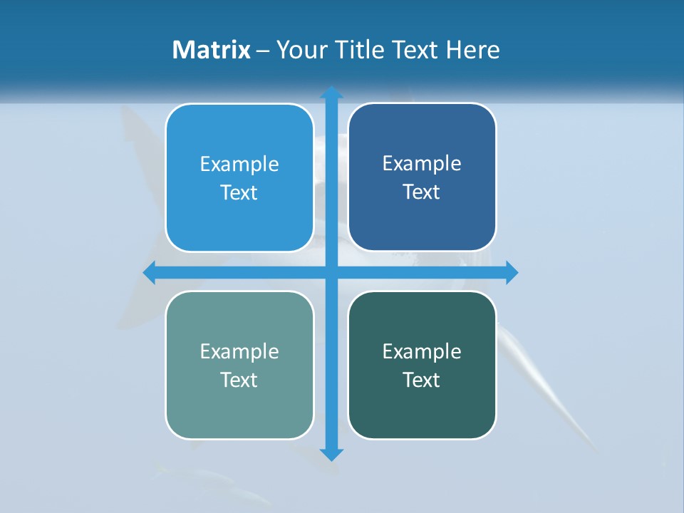 A Great White Shark Swimming In The Ocean PowerPoint Template