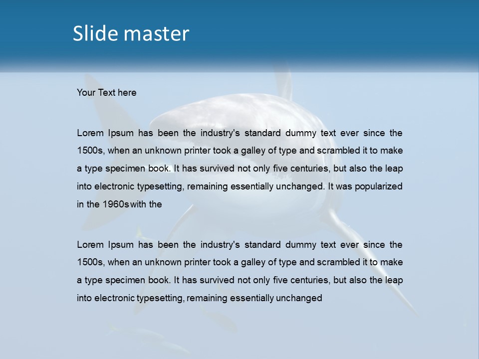 A Great White Shark Swimming In The Ocean PowerPoint Template