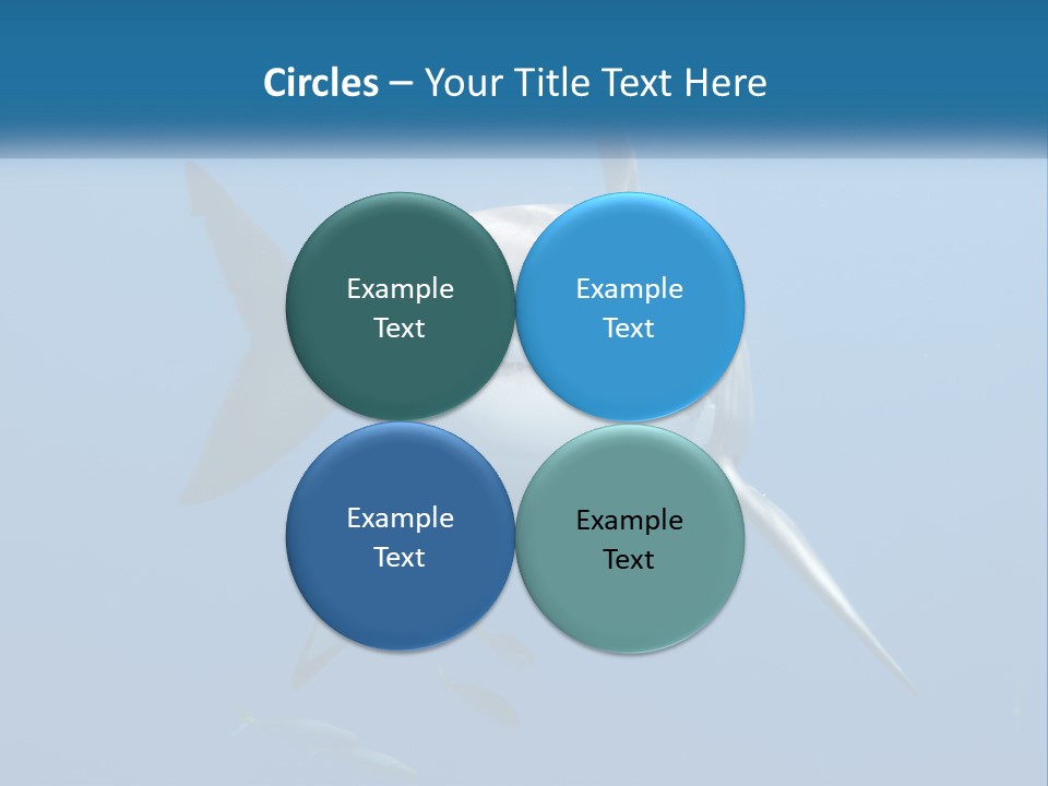 A Great White Shark Swimming In The Ocean PowerPoint Template