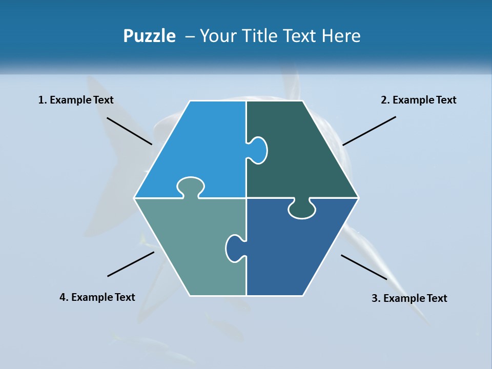 A Great White Shark Swimming In The Ocean PowerPoint Template