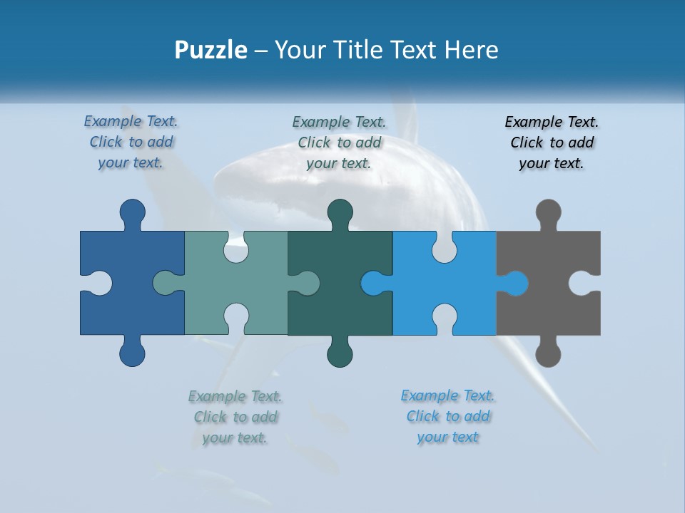 A Great White Shark Swimming In The Ocean PowerPoint Template