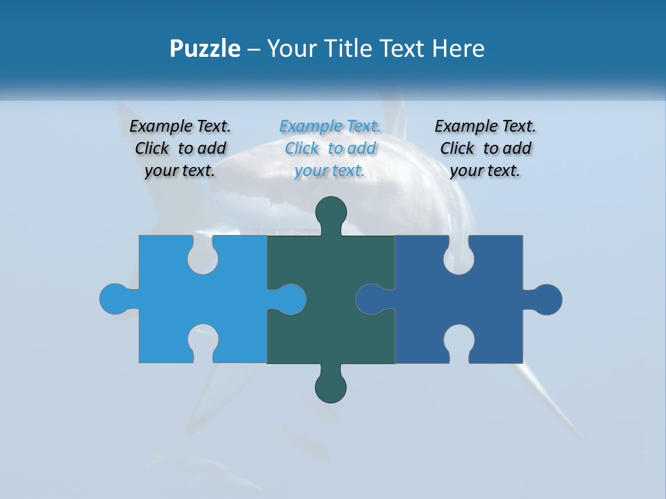 A Great White Shark Swimming In The Ocean PowerPoint Template