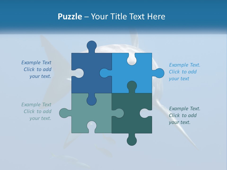 A Great White Shark Swimming In The Ocean PowerPoint Template