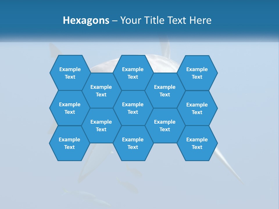 A Great White Shark Swimming In The Ocean PowerPoint Template