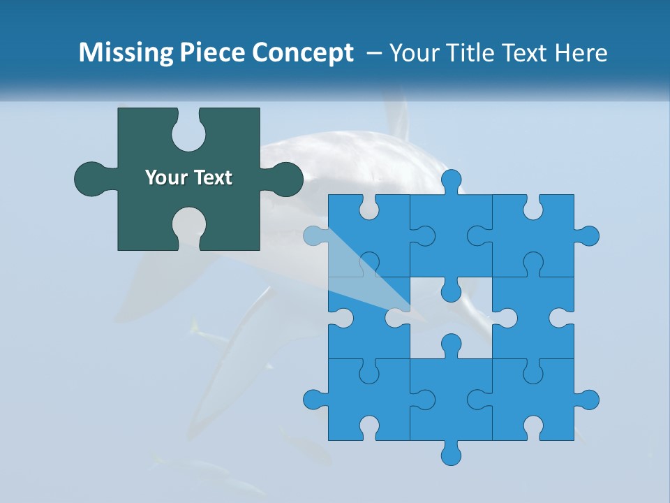 A Great White Shark Swimming In The Ocean PowerPoint Template