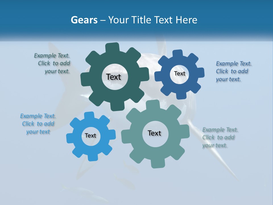 A Great White Shark Swimming In The Ocean PowerPoint Template