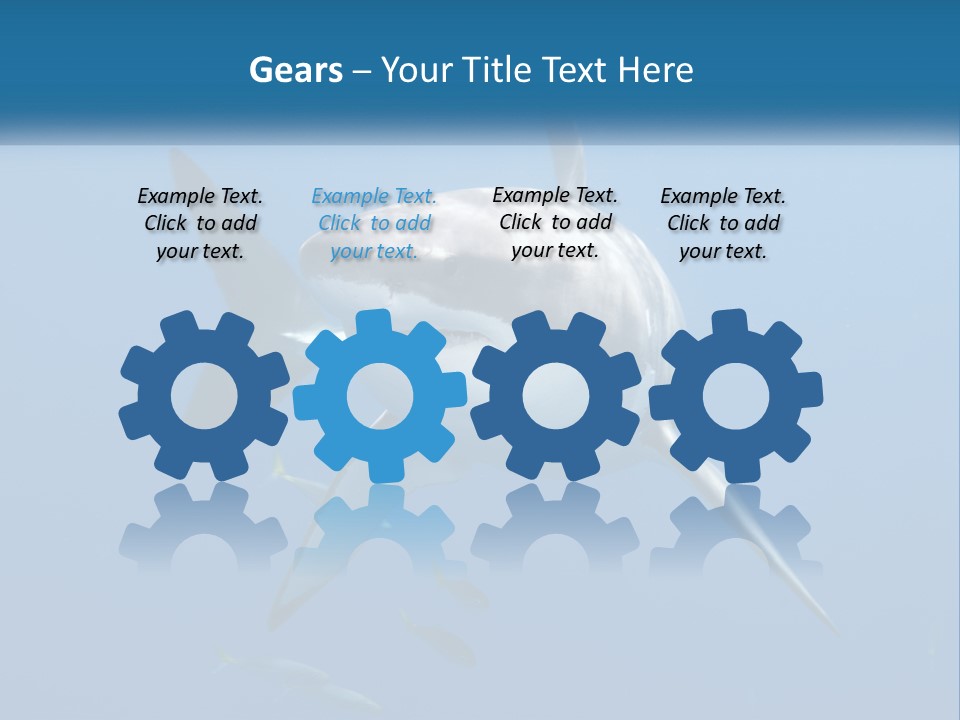 A Great White Shark Swimming In The Ocean PowerPoint Template