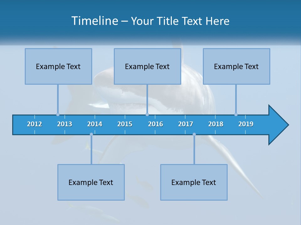 A Great White Shark Swimming In The Ocean PowerPoint Template